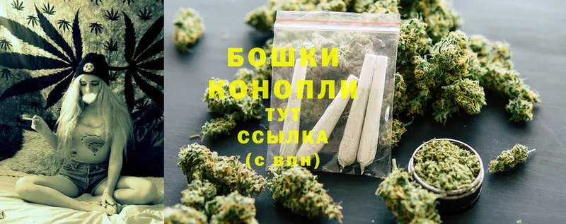 Конопля THC 21%  Куровское 